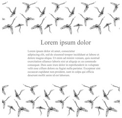 Seamless hand drawn ink monochrome flies flying, Lorem ipsum in original perspective, funny sketch stock vector illustration