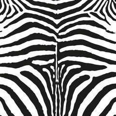 Zebra skin print vector illustration. Black and white wild animal skin or fur.