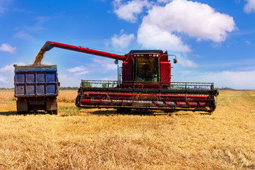 Combine harvester on a wheat field.