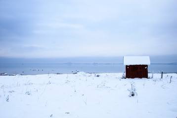 Old fishing cabin in a snowy coastal view
