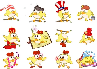 Poster Set of Cute Chickens in Different Poses for you Design. Cartoon Character © liusa