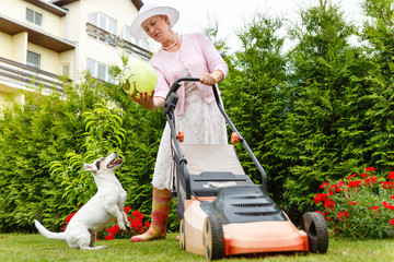 Old senior woman gardener 65 years old in hat, inspecting the flowers in her garden on ground near shrubs summer morning. Young boy helping grandmother in garden