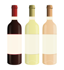 Red, white and rosé isolated wine bottles. Vector illustration.