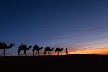 Fototapeta na wymiar Silhouette of caravan in desert Sahara, Morocco with beautiful and colorful sunset in background