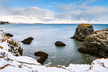 icelandic coast near arnastapi town