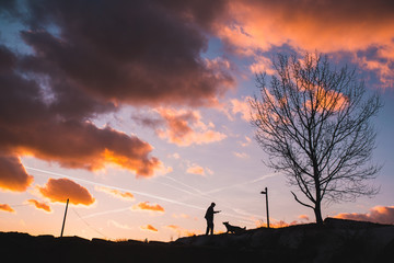 Man and dog playing together, beautiful sunset sky in background