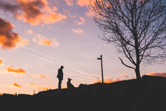 Photo of a man with a dog in the countryside.