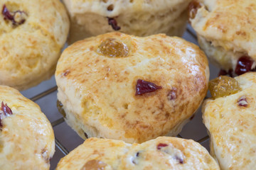 Raisin Scone on sieve after baked from oven