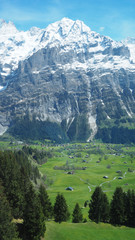 View of Alps mountains from Grindelwald First