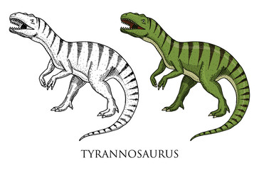 Dinosaurs Tyrannosaurus rex, Tarbosaurus, Struthiomimus skeletons, fossils. Prehistoric reptiles, Animal engraved Hand drawn vector.