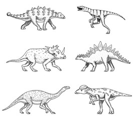 Dinosaurs set, Triceratops, Barosaurus, broad lizard, Stegosaurus, Pachycephalosaurus, Diplodocus, Ankylosaurus, Velociraptor, skeletons, fossils. Prehistoric reptiles, Animal Hand drawn vector.