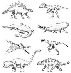 Dinosaurs elasmosaurus, mosasaurus, barosaurus, diplodocus, pterosaur, ankylosaurus, triceratops, fossils, winged lizard. American Prehistoric reptiles, Jurassic Animal engraved Hand drawn vector.