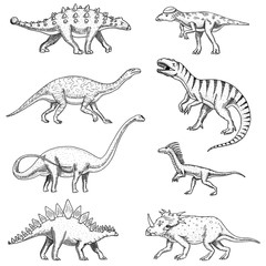 Dinosaurs set, triceratops, barosaurus, tyrannosaurus rex, stegosaurus, pachycephalosaurus, diplodocus, deinonychus, velociraptor, skeletons, fossils. Prehistoric reptiles, Animal Hand drawn vector.