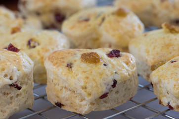 Raisin Scone on sieve after baked from oven