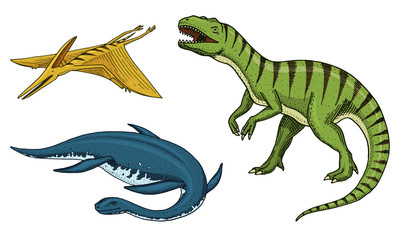Dinosaurs Tyrannosaurus rex, elasmosaurus, pterosaur, skeletons, fossils. Prehistoric reptiles, Animal engraved Hand drawn vector.