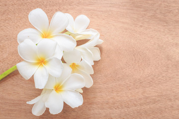 Fototapeta na wymiar zen spa on wooden plank, frangipani or plumeria flower