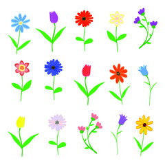 Hand drawn Spring flowers set isolated on white background vector illustration