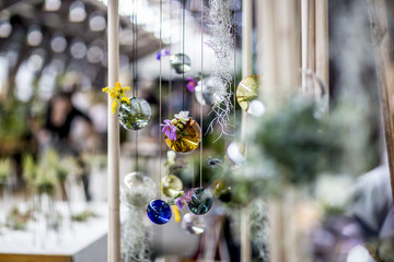 Hanging flower background