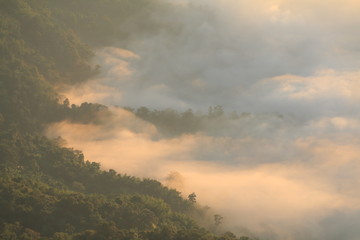 fog in mountain
