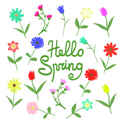 Set of many variation of flowers isolated on white background with text lettering HELLO SPRING vector illustration postcard. Happy, cute, hand drawn with love.