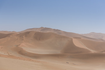 Desert Landscapes