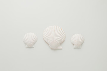 Three white scallops.