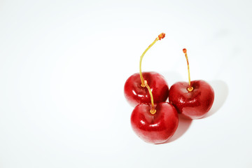 Cherry fruit isolated on blue background. pop art color concept