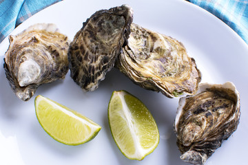 fresh closed oysters with lemon on a white plate