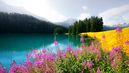 Panele Szklane  Niesamowity słoneczny dzień nad jeziorem Champferersee w Alpach Szwajcarskich. Wioska Silvaplana, Szwajcaria, Europa. Fotografia krajobrazowa