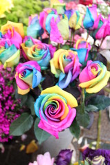 Fototapeta na wymiar .colorful flowers and roses