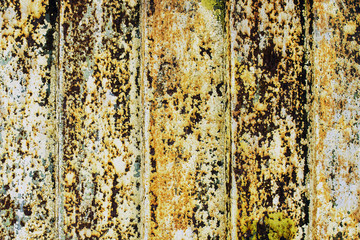 background of rusty iron