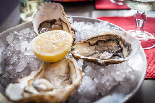 Oysters with ice and lemon