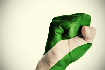 fist patterned with the flag of Andalusia, Spain - obrazy, fototapety, plakaty