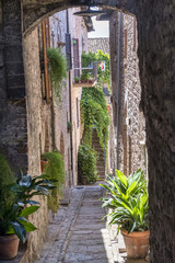 Fototapeta na wymiar Spello, Perugia, medieval city
