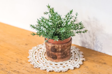 small green plant in decorative pot on wooden table