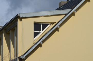 Chien assis et fenêtre. 