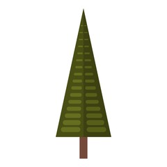 Spruce tree icon, flat style