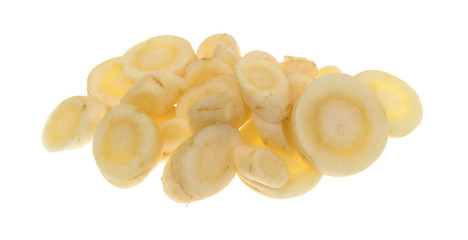 Sliced parsnip isolated on a white background.