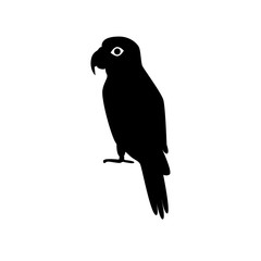 Amazon parrot silhouette icon in flat style
