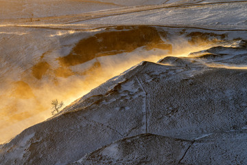 Strong wind blowing snow over ridge of a hill in the Peak District with golden morning light and lone tree.
