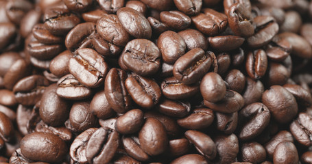 Coffee bean close up