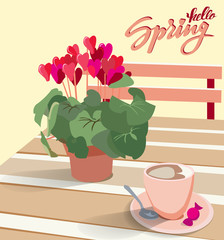 Lettering Hello spring. A table in a cafe with a flower cyclamen in a pot and a cup of coffee with candy. Vector illustration for greeting cards and greetings with hearts