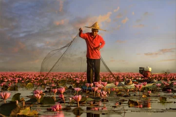 Fotobehang Lotusbloem Thai fisherman trow the nets in flower lotus lake,  Thai people in Red Lotus lake, UdonThani Thailand  © saravut