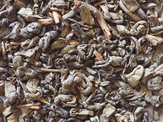 loose green gunpowder tea