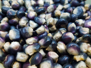 Dark Purple Corn Seeds Background