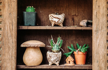 Vintage decoration various cactus pots on wooden shelf and ornaments