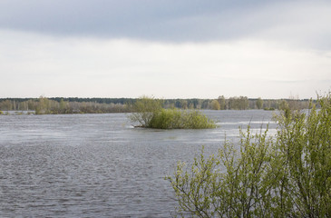 spring flood of the river in Siberia on a sunny May day