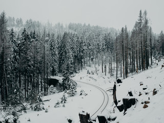 Winter Wonderland - Harz Mountains