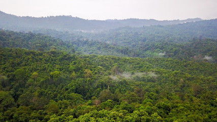 Fototapeta na wymiar Aerial view of the tropical rain forest.