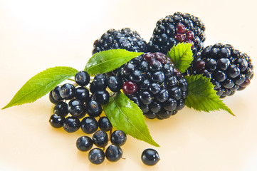 Brombeeren und Johannisbeeren